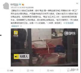 某火锅店爆料视频最新版,揭秘幕后真相,行业乱象引关注 第3张 某火锅店爆料视频最新版,揭秘幕后真相,行业乱象引关注 第3张