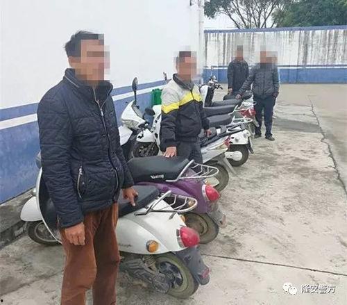 哈尔滨电动车爆料案件最新,真相大白，涉案人员悉数落网  第2张